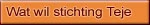 Wat wil stichting Teje